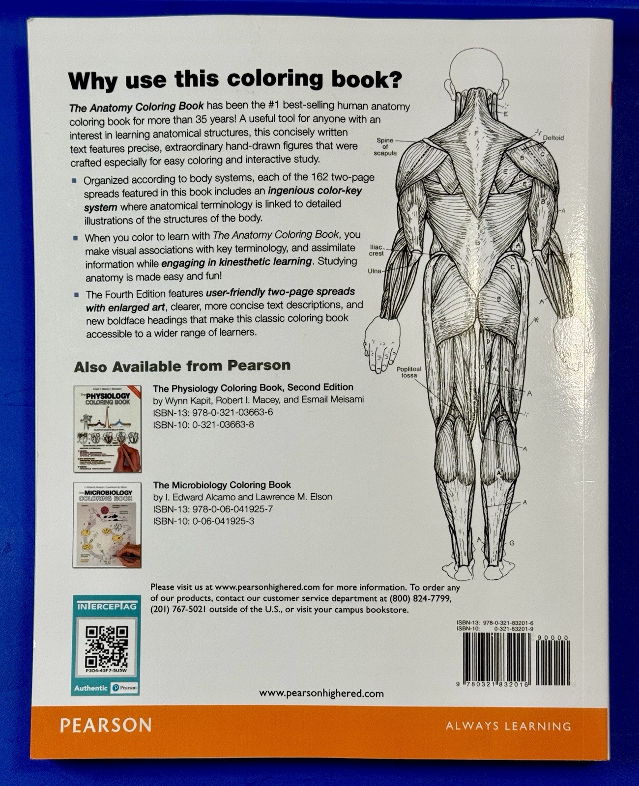Anatomy Coloring Book by Wynn Kapit and Lawrence Elson 2013 Trade Paperback
