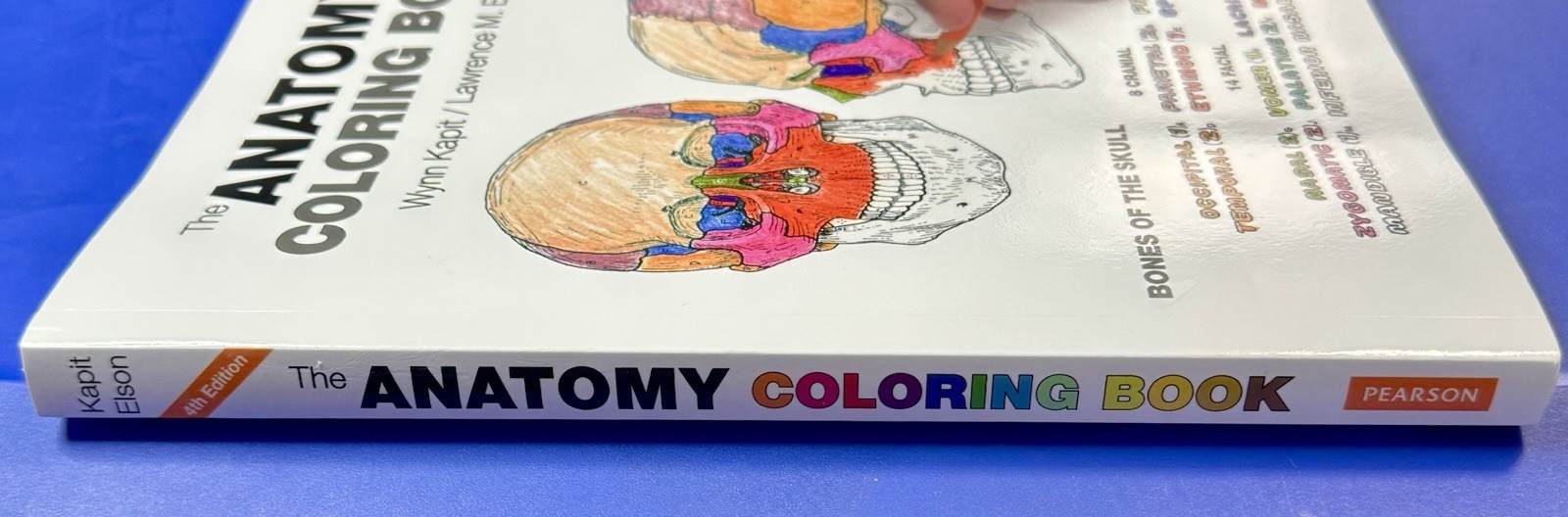 Anatomy Coloring Book by Wynn Kapit and Lawrence Elson 2013 Trade Paperback