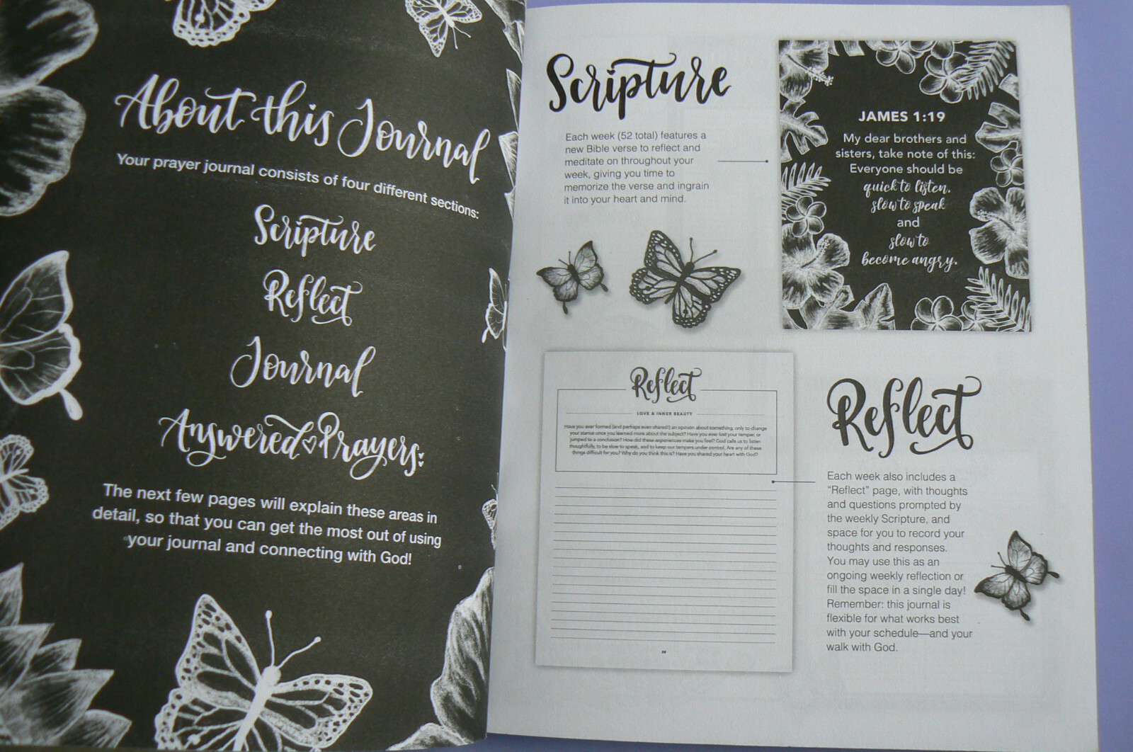 Prayer Journal Women 52 Week Scripture,Devo,Guided Prayer,Shannon Roberts NEW!!