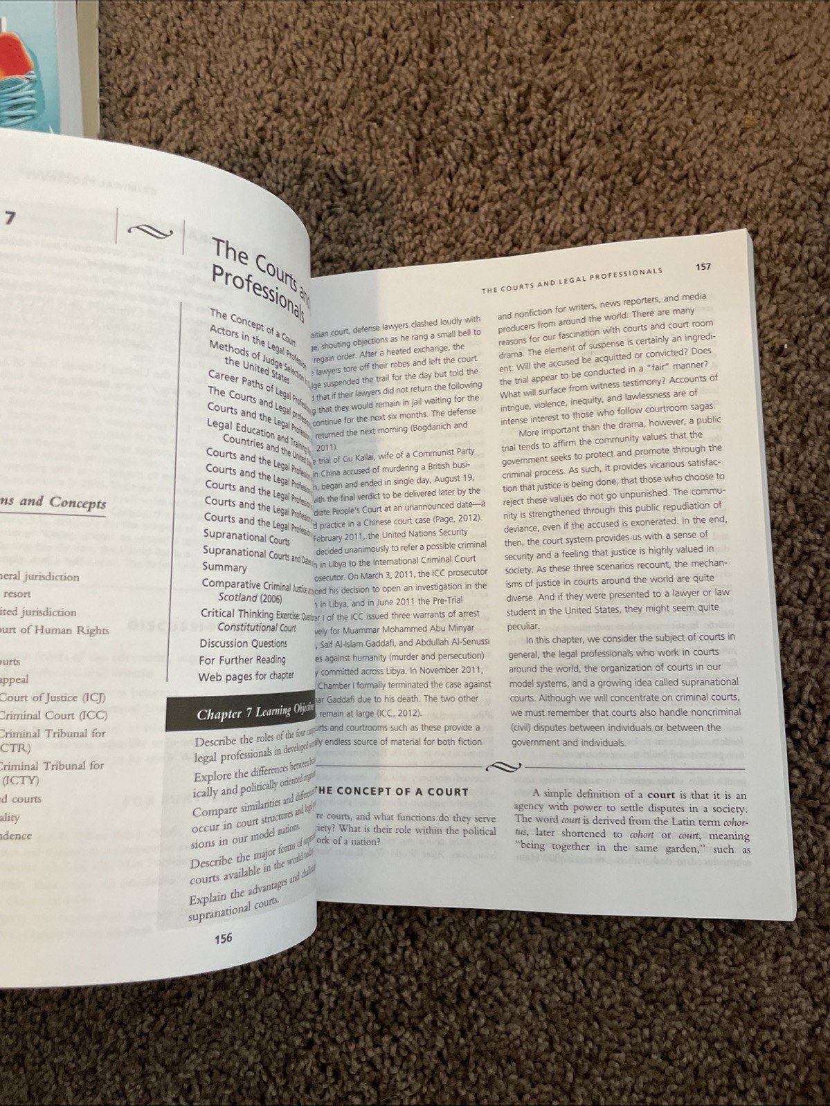 🔥Comparative Criminal Justice Systems by Jay S. Albanese and Harry R. Dammer🔥