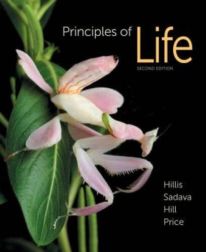 Principles of Life – Hardcover By Hillis, David M. – ACCEPTABLE
