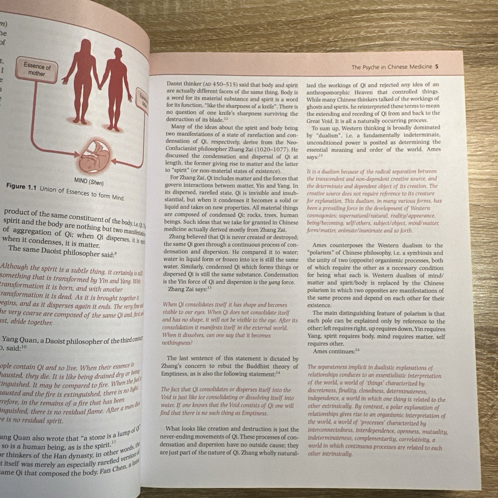 Psyche in Chinese Medicine