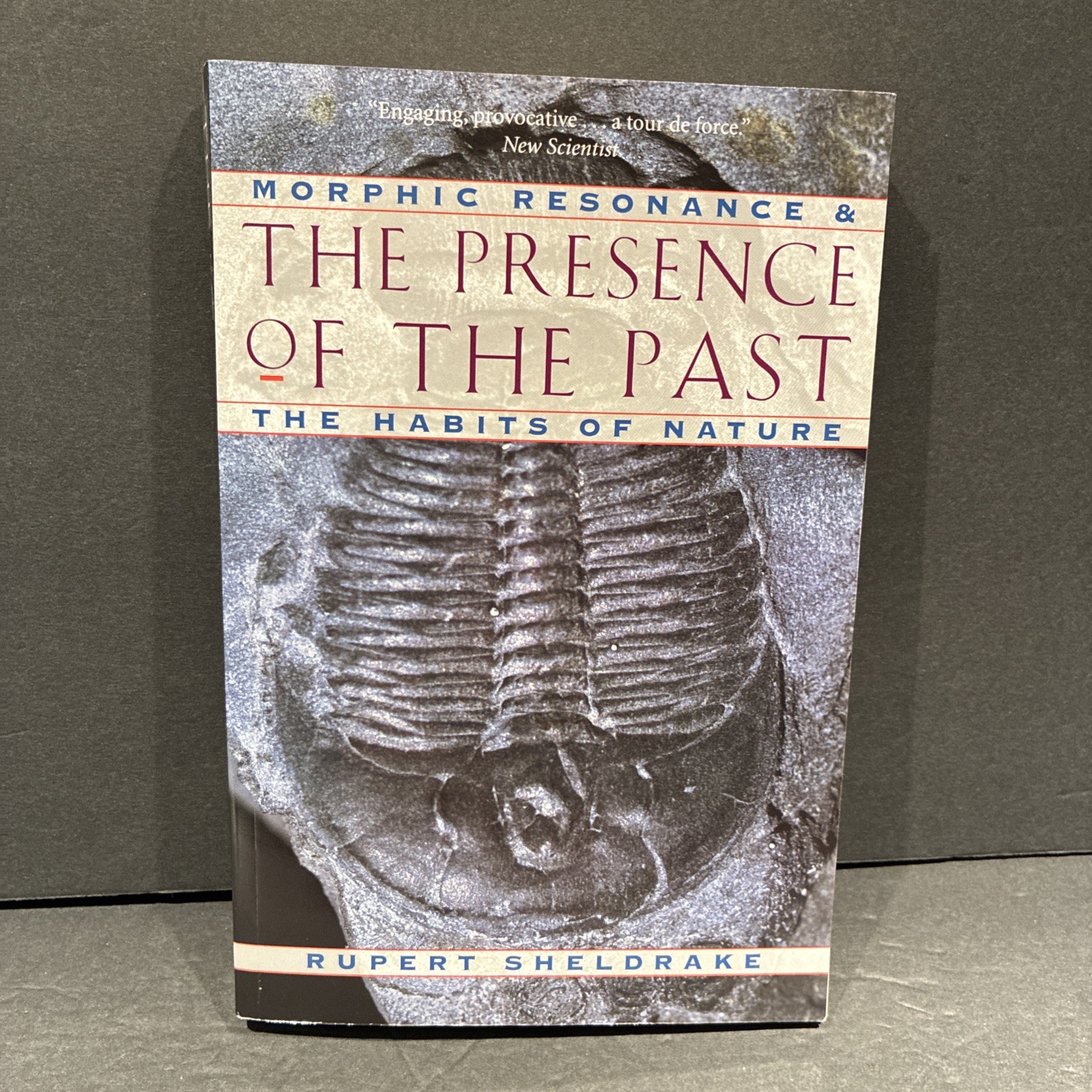 The Presence of the Past by Rupert Sheldrake PB VG++