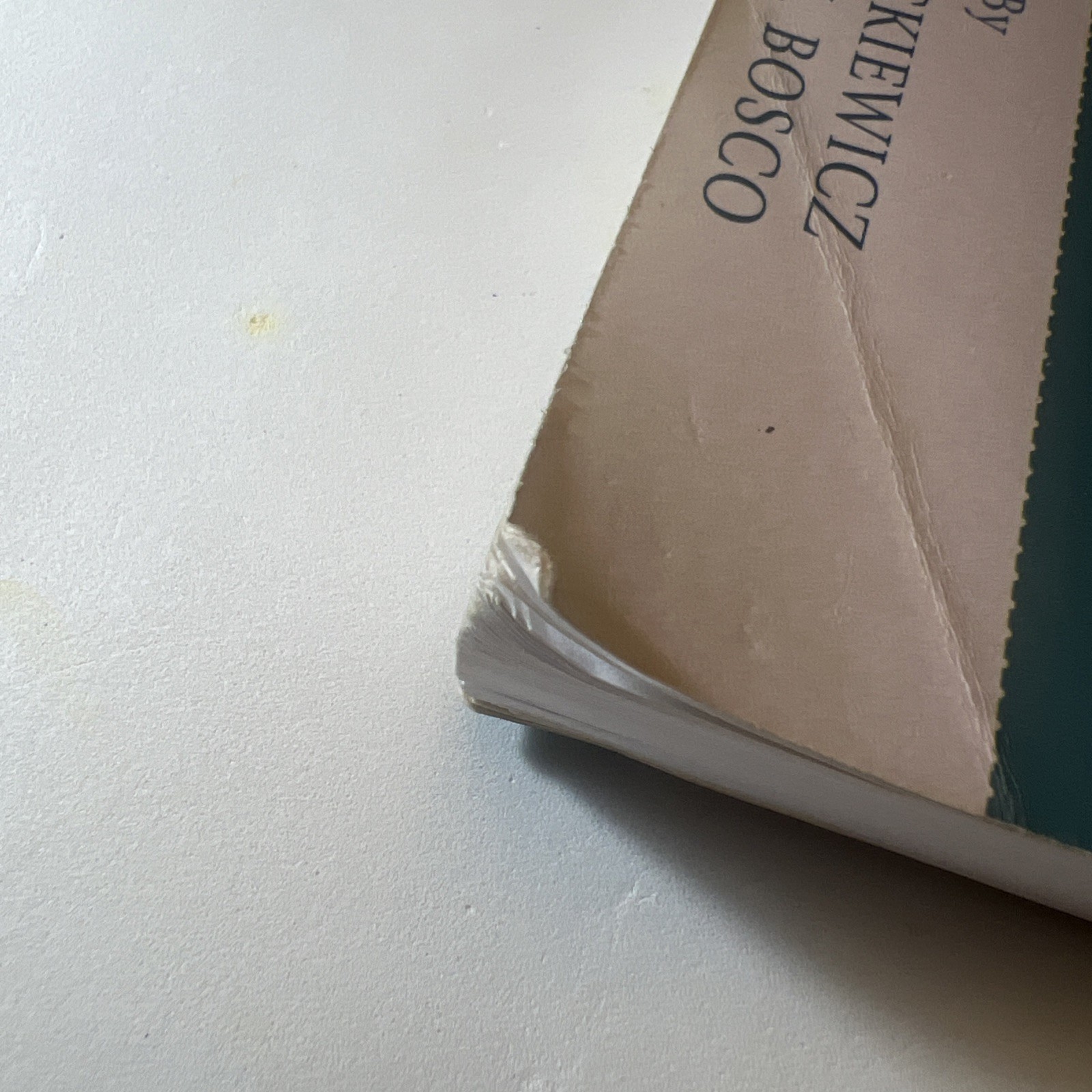 Placing Latin America : Contemporary Themes in Geography, Paperback by Jackie…
